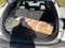 2024 Kia Sportage Plug-In Hybrid X-Line
