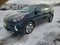 2020 Kia Niro EV EX