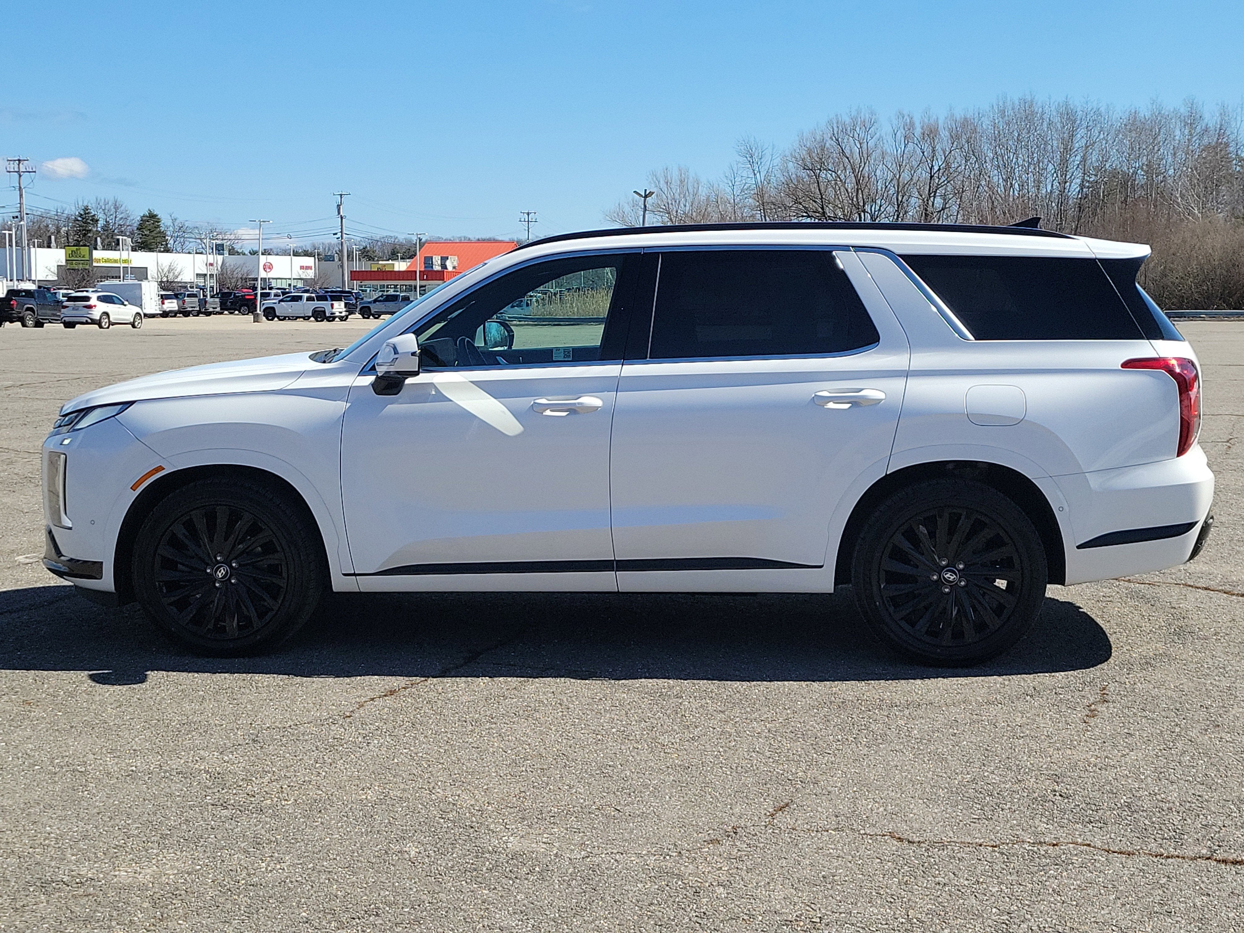 2024 Hyundai Palisade Calligraphy Night Edition