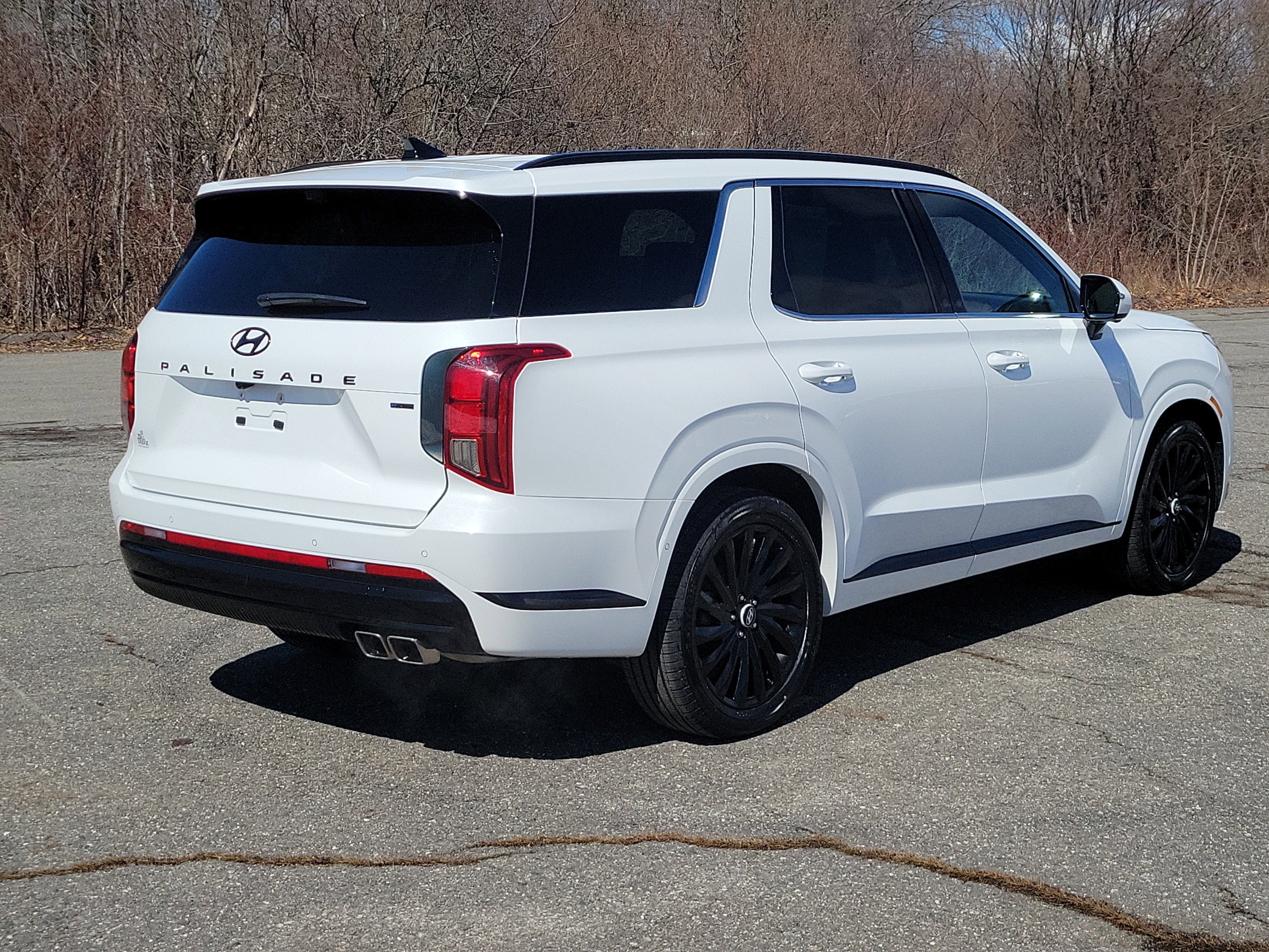 2024 Hyundai Palisade Calligraphy Night Edition