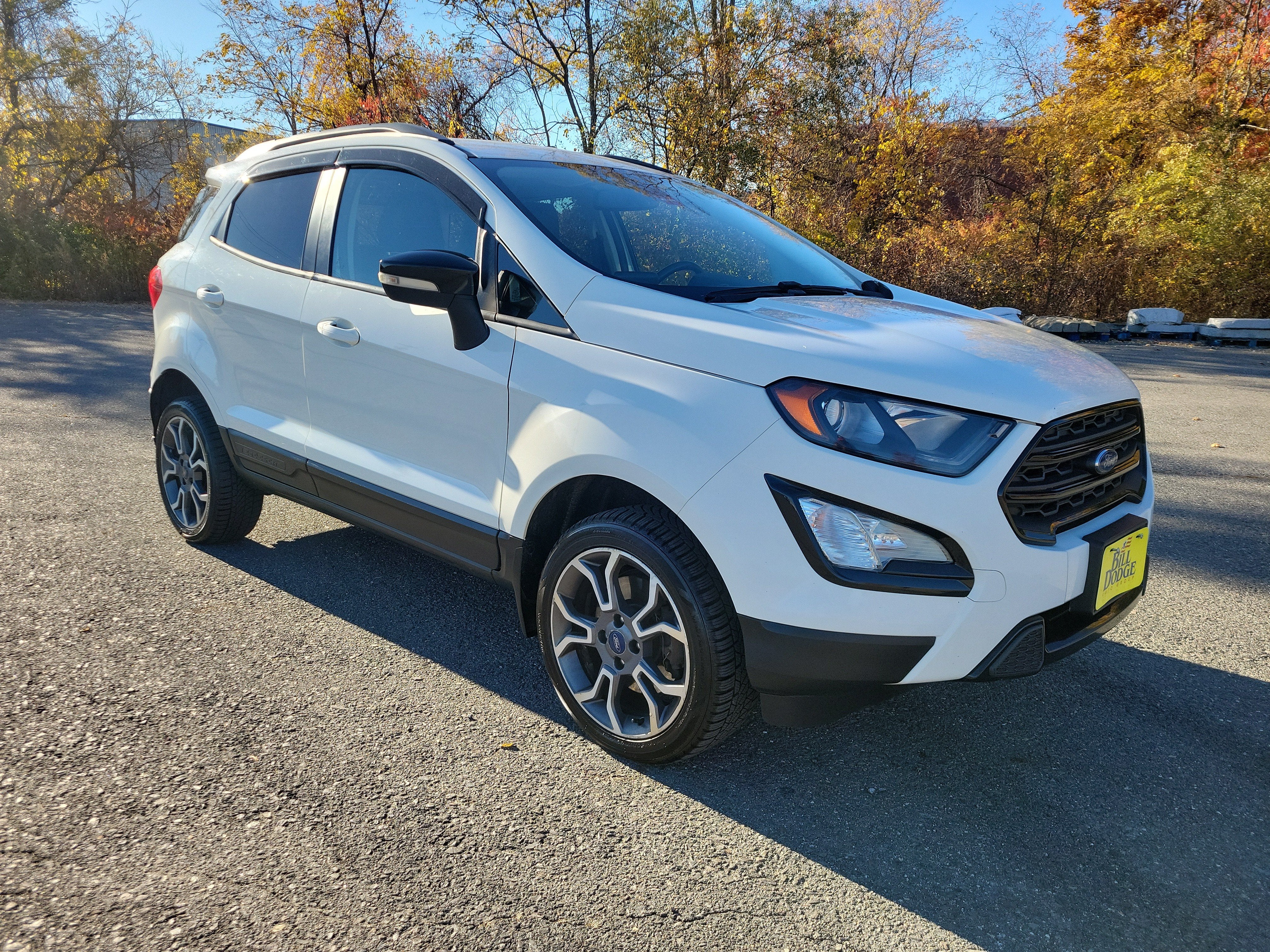 2020 Ford EcoSport SES