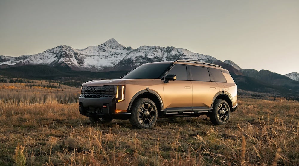 A brown 2027 Kia Telluride SUV parked in a field